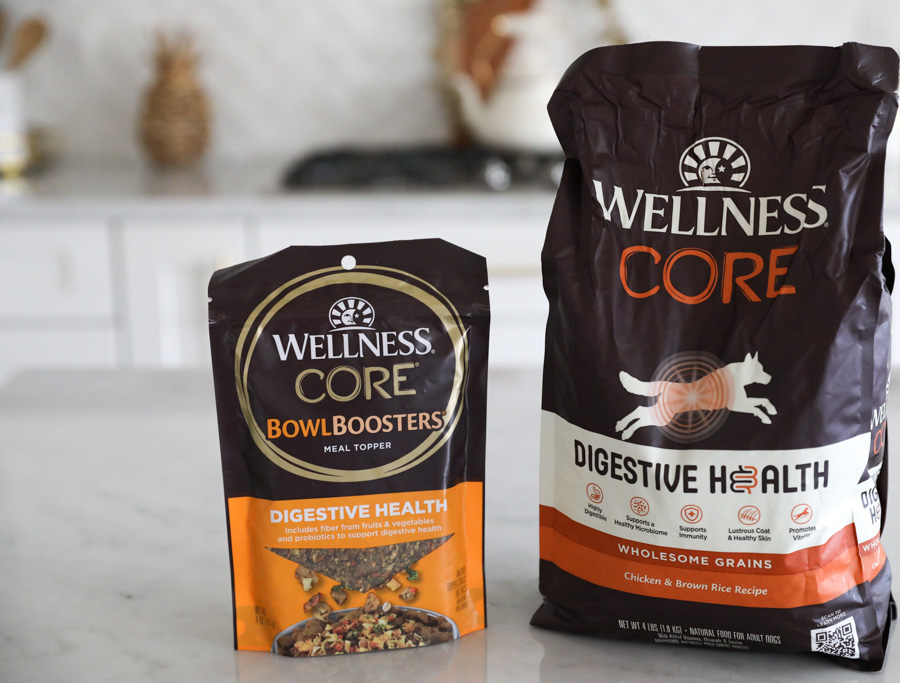 Wellness Core Digestive Health Chicken & Brown Rice