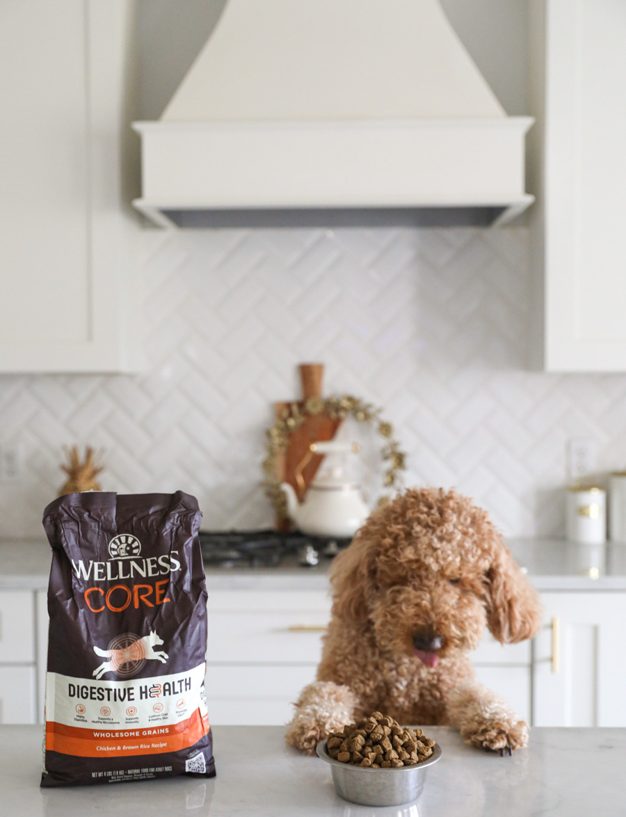 Wellness Core Digestive Health Dog Food Review