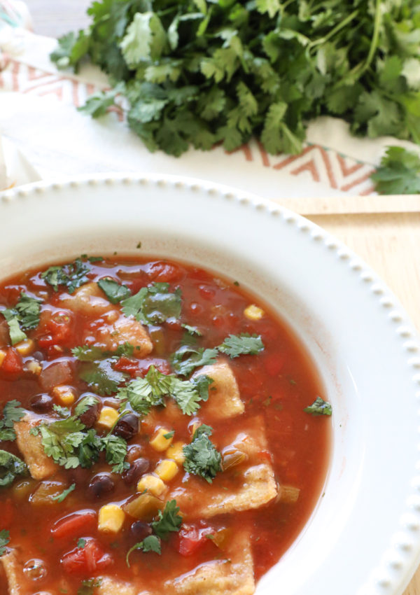 Loaded Southwestern Tortilla Soup