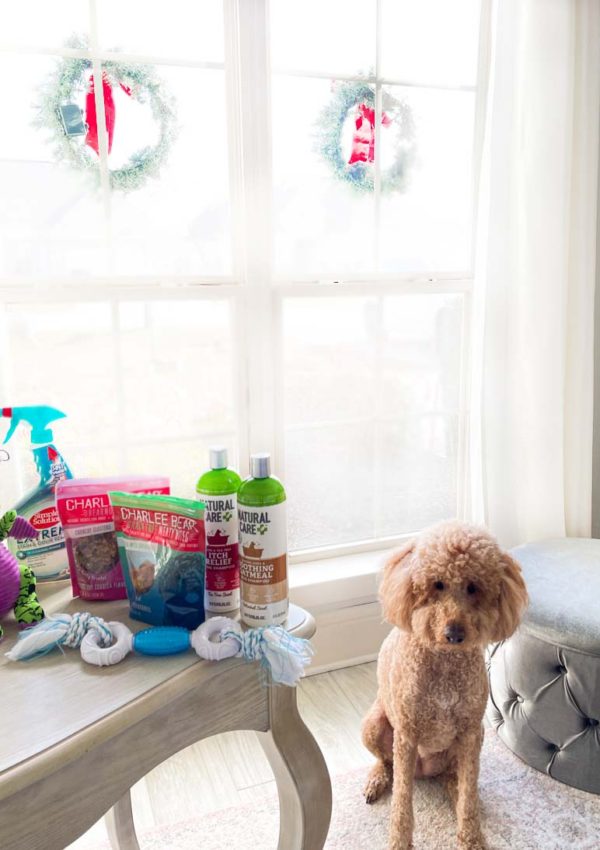 Gifts for Pet Owners